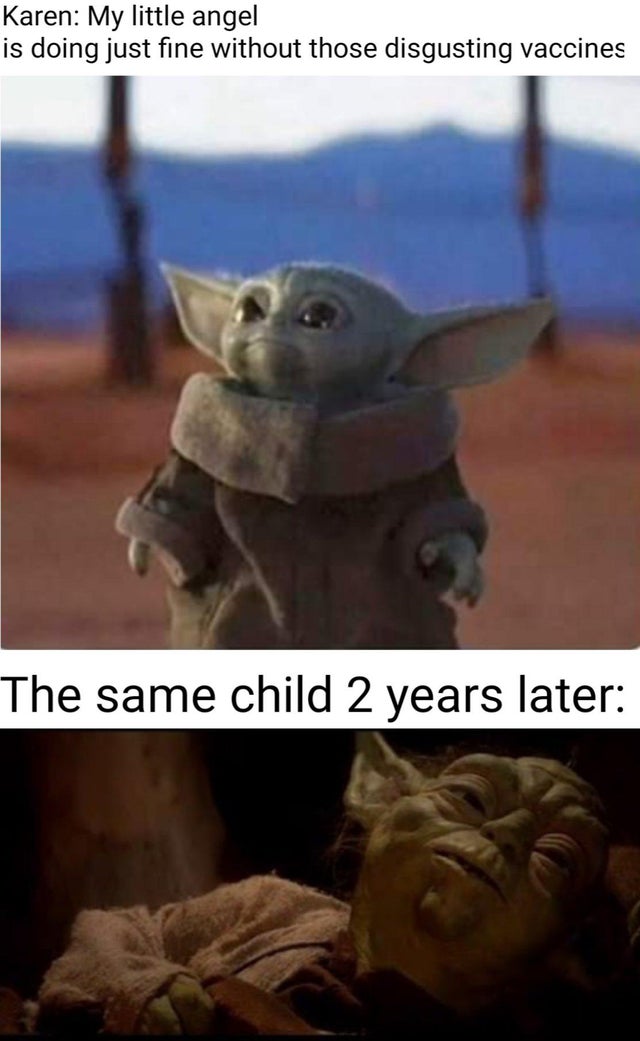 baby yoda meme - Karen My little angel is doing just fine without those disgusting vaccines The same child 2 years later
