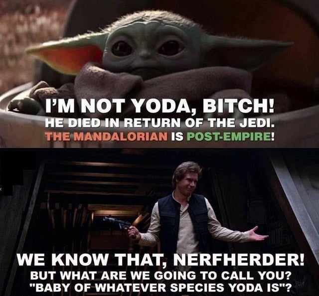 baby yoda meme - Yoda's species - I'M Not Yoda, Bitch! He Died In Return Of The Jedi. The Mandalorian Is PostEmpire! We Know That, Nerfherder! But What Are We Going To Call You?