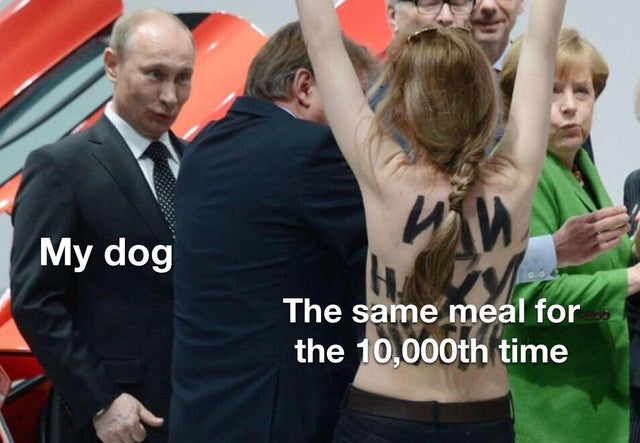 putin femen - My dog Do The same meal for the 10,000th time