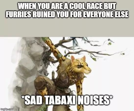 dungeons and dragons - tabaxi dnd - When You Are A Cool Race But Furries Ruined You For Everyone Else "Sad Tabaki Noises imgita.com