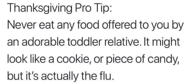 Thanksgiving meme - Sevgili eşim - Thanksgiving Pro Tip Never eat any food offered to you by an adorable toddler relative. It might look a cookie, or piece of candy, but it's actually the flu.