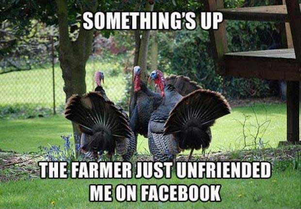 Thanksgiving meme - funny thanksgiving memes 2018 - Something'S Up The Farmer Just Unfriended Me On Facebook