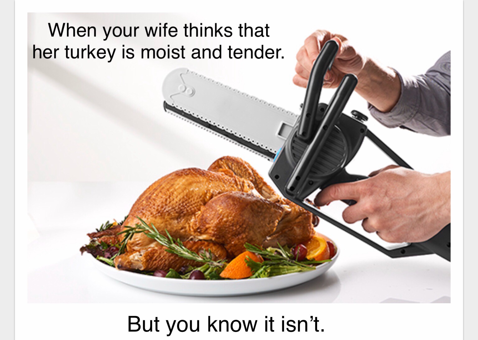 Thanksgiving meme - roasting - When your wife thinks that her turkey is moist and tender. But you know it isn't.