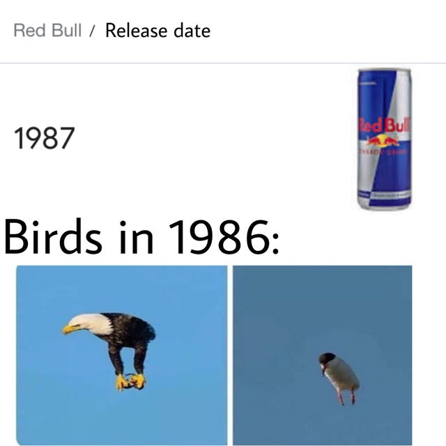 dank meme - beak - Red Bull Release date Led Bull 1987 Birds in 1986