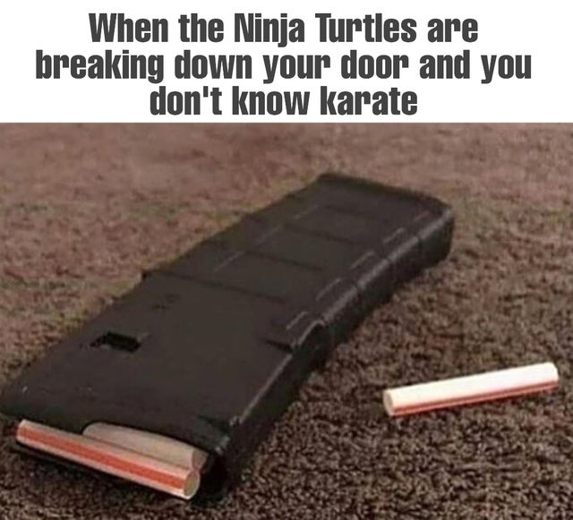 dank meme - turtle starts talking shit - When the Ninja Turtles are breaking down your door and you don't know karate