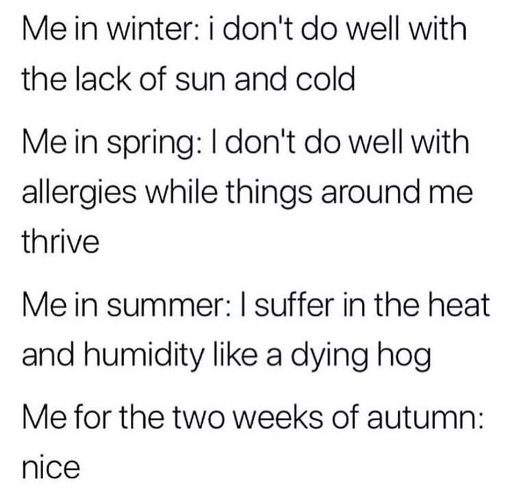 meme - Me in winter i don't do well with the lack of sun and cold Me in spring I don't do well with allergies while things around me thrive Me in summer I suffer in the heat and humidity a dying hog Me for the two weeks of autumn nice