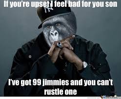 meme - jay z large - If you're upset feel bad for you son I've got 99 jimmies and you can't rustle one