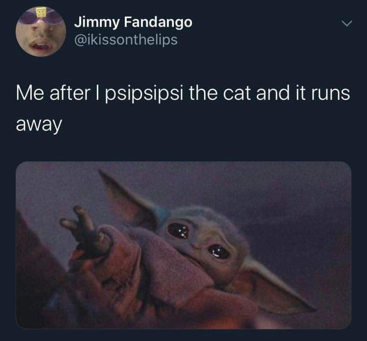 meme - photo caption - Jimmy Fandango Me after I psipsipsi the cat and it runs away