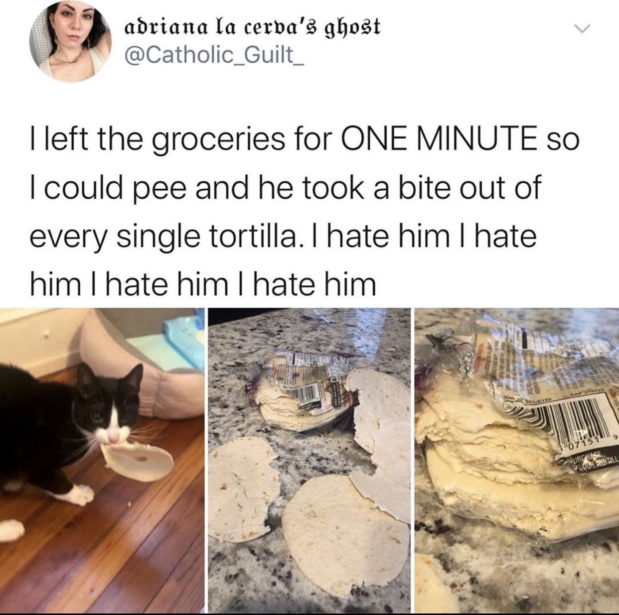meme - water - adriana la cerva's ghost I left the groceries for One Minute So I could pee and he took a bite out of every single tortilla. I hate him I hate him Thate him I hate him 10 715 Erall