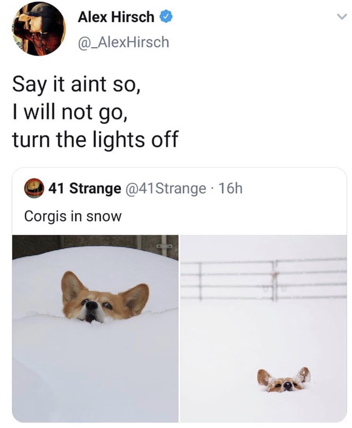 meme - dog - Alex Hirsch Hirsch Say it aint so, I will not go, turn the lights off 41 Strange 16h Corgis in snow