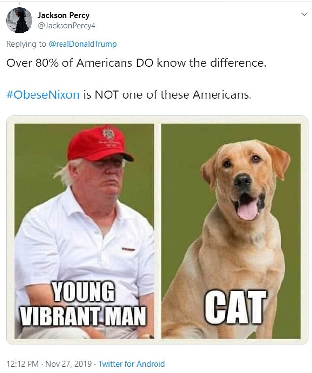 donald trump young vibrant man - Jackson Percy Percy4 Trump Over 80% of Americans Do know the difference. is Not one of these Americans. Young Vibrant Man Cat . . Twitter for Android