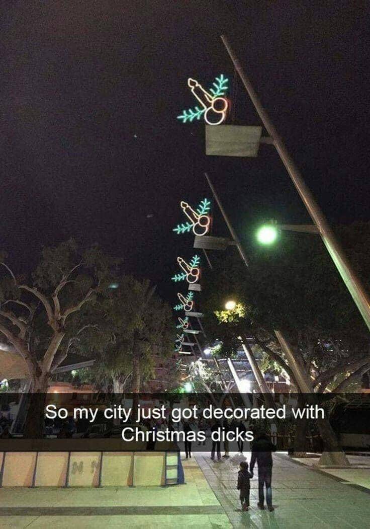 funny christmas posts - So my city just got decorated with Christmas dicks