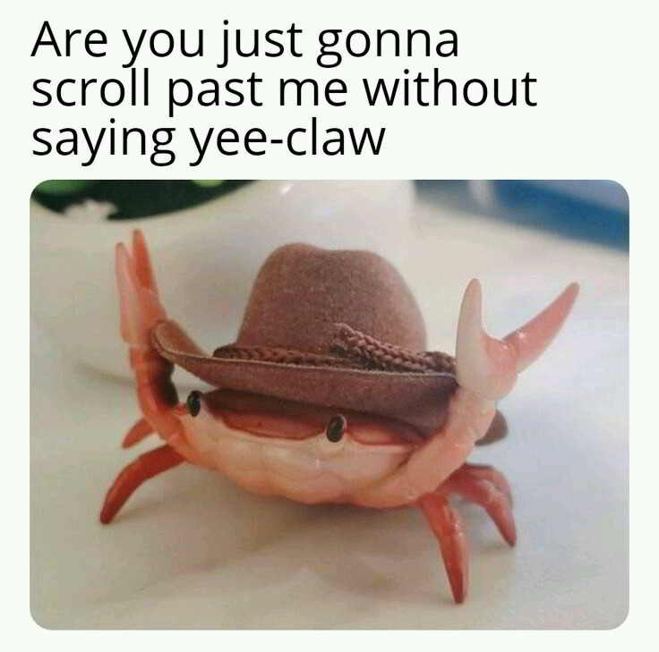 yee claw meme - Are you just gonna scroll past me without saying yeeclaw