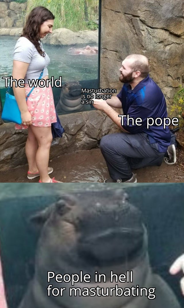 dank - fiona the hippo proposal - The world Masturbation is no longer a sin The pope People in hell for masturbating