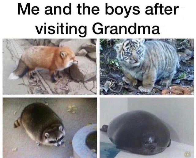 dank - thicc meme - Me and the boys after visiting Grandma