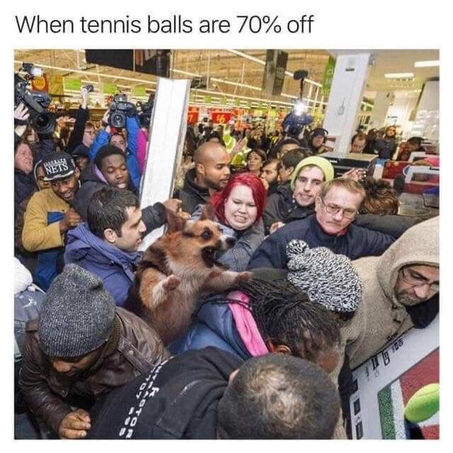 dank - tennis balls black friday - When tennis balls are 70% off Net
