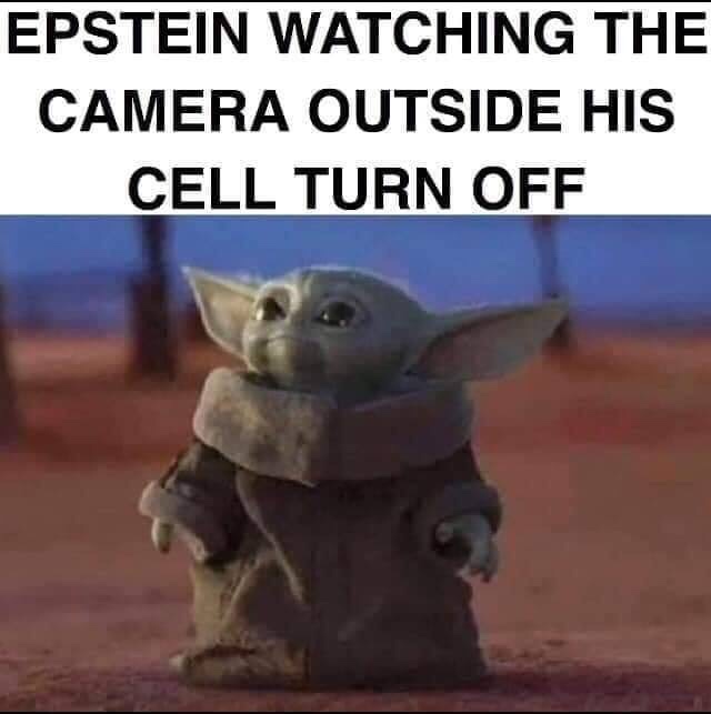 Yoda - Epstein Watching The Camera Outside His Cell Turn Off