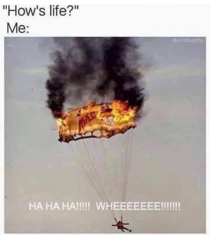 hows life meme parachute - "How's life?" Me Ha Ha Ha!!!!! Wheeeeeee!!!!!!!