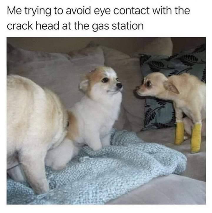 me trying to avoid eye contact - Me trying to avoid eye contact with the crack head at the gas station