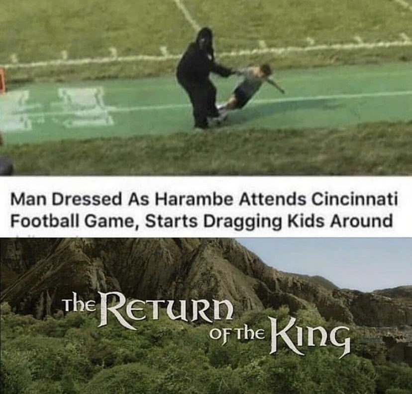 return of the king meme - Man Dressed As Harambe Attends Cincinnati Football Game, Starts Dragging Kids Around The Return of the King