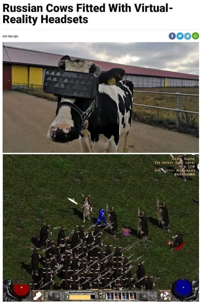 Russian Cows Fitted With Virtual Reality Headsets 0000 one day ago Gade Sadfir The Secret CeX Level V 110 Dirilty Nightmare Expansion