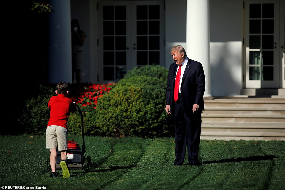 trump kid mowing lawn meme
