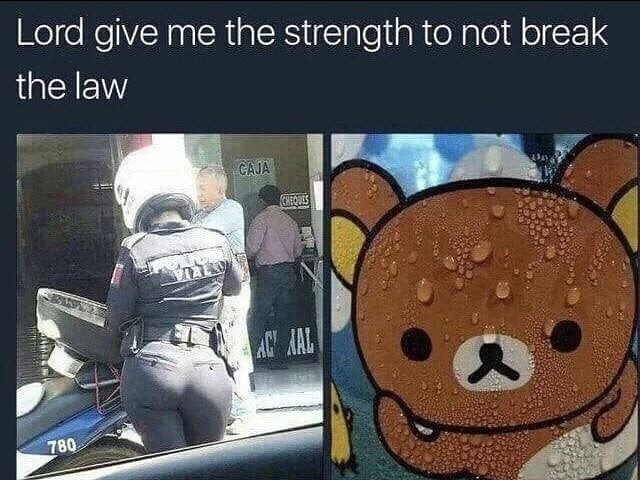pedobear police - Lord give me the strength to not break the law Caja Cheos 780