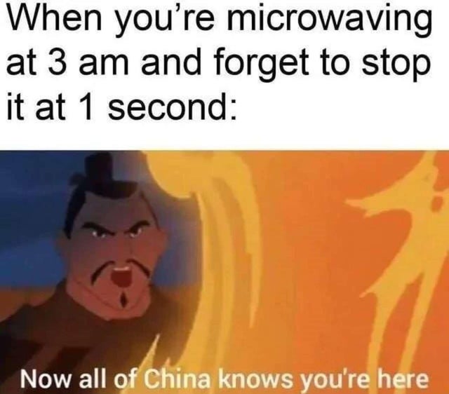 mulan memes - When you're microwaving at 3 am and forget to stop it at 1 second Now all of China knows you're here