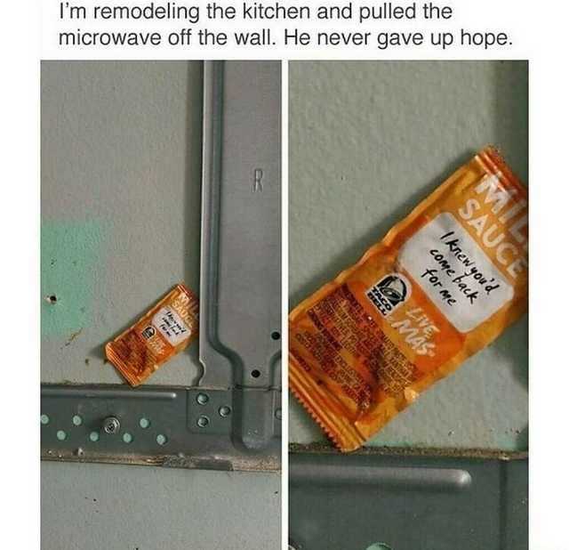 give up hope meme - I'm remodeling the kitchen and pulled the microwave off the wall. He never gave up hope. for me come back I knew youd