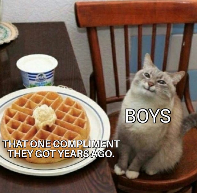 feel-good-meme - waffle cat - Boys That One Compliment They Got Years Ago.