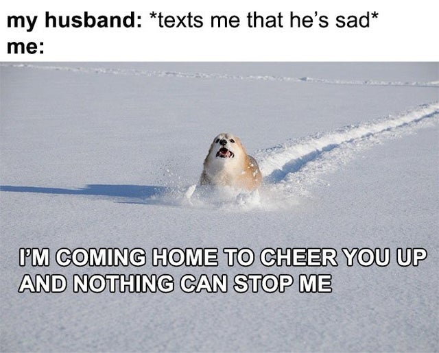 feel-good-meme - corgi habitat - my husband texts me that he's sad me I'M Coming Home To Cheer You Up And Nothing Can Stop Me