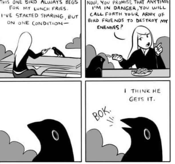feel-good-meme - cute crow comic - This One Bird Always Begs For My Lunch Fries I'Ve Started Sharing, But On One Condition Now, You Promise That Anytime I'M In Danger, You Will Call Forth Your Army Of Bird Friends To Destroy My Enemies? I Think He Gets It