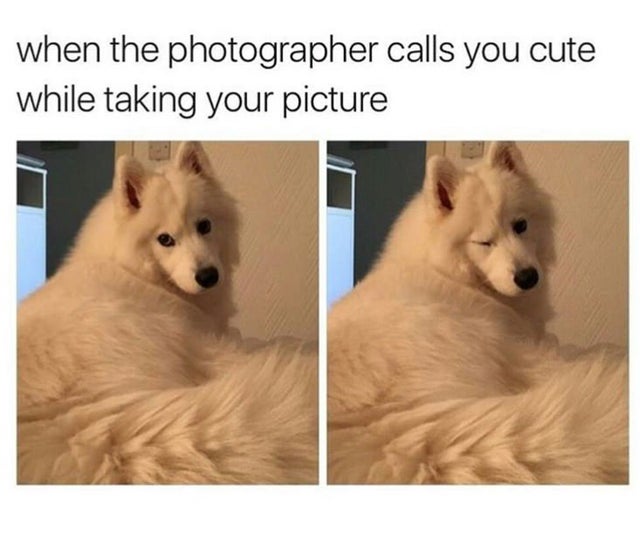 feel-good-meme - photographer calls you cute while taking your - when the photographer calls you cute while taking your picture