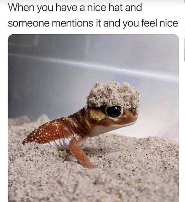 feel-good-meme - you have a nice hat and someone mentions it and you feel nice - When you have a nice hat and someone mentions it and you feel nice