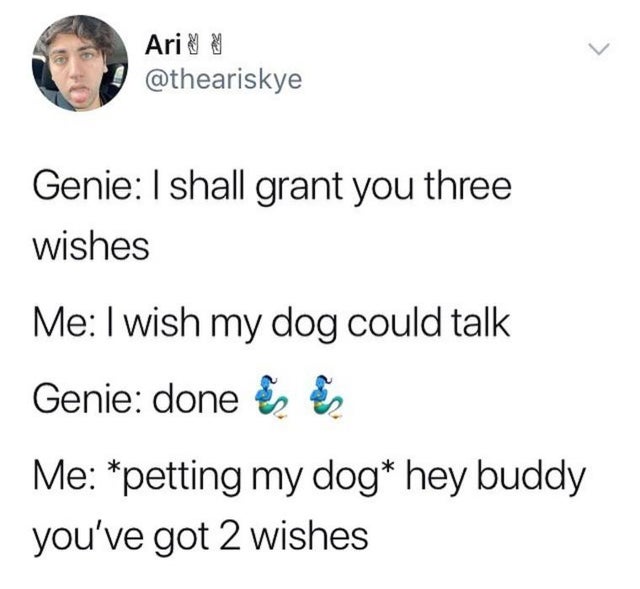 feel-good-meme - human behavior - Ari Genie I shall grant you three wishes Me I wish my dog could talk Genie done & Me petting my dog hey buddy you've got 2 wishes