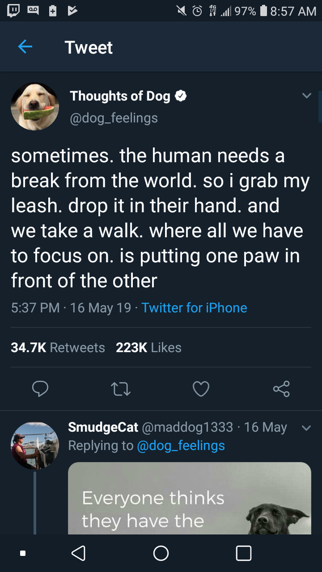 feel-good-meme - screenshot - N 6 # all 97% Tweet Thoughts of Dog sometimes. the human needs a break from the world. so i grab my leash. drop it in their hand. and we take a walk. where all we have to focus on. is putting one paw in front of the other 16 