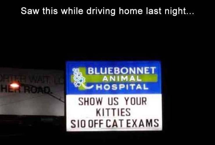 signage - Saw this while driving home last night... Her Road. Bluebonnet Animal Hospital Show Us Your Kitties Sio Off Cat Exams
