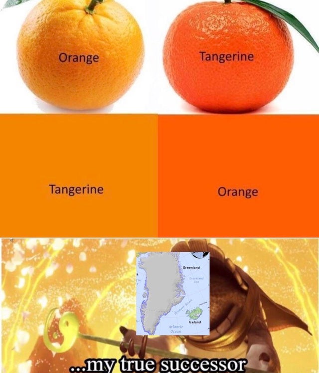 my true successor meme template - Orange Tangerine Tangerine Orange Atlantic ...my true successors