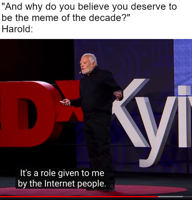 András Arató - "And why do you believe you deserve to be the meme of the decade?" Harold It's a role given to me by the Internet people.