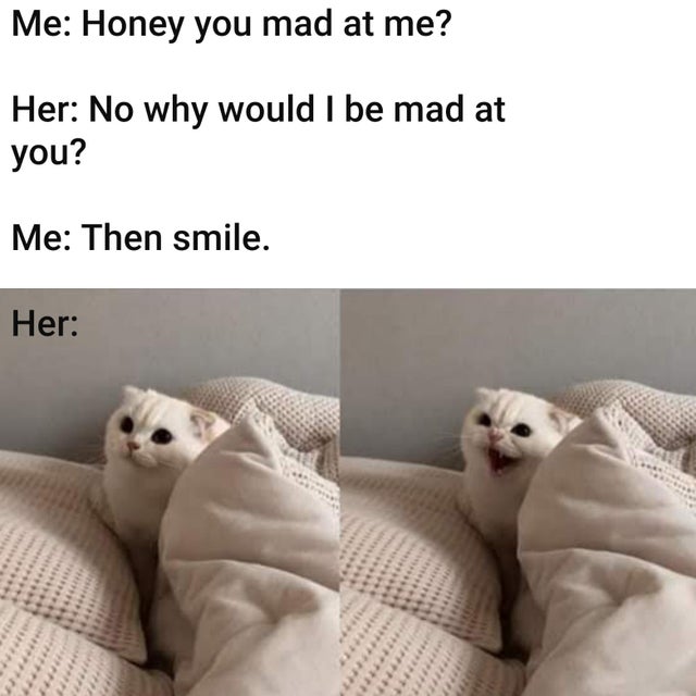 Internet meme - Me Honey you mad at me? Her No why would I be mad at you? Me Then smile. Her