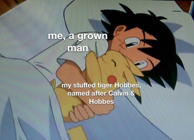 me, a grown man my stuffed tiger Hobbes, named after Calvin & Hobbes