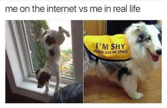 internet vs real life - me on the internet vs me in real life I'M Shy Please Give Me Space