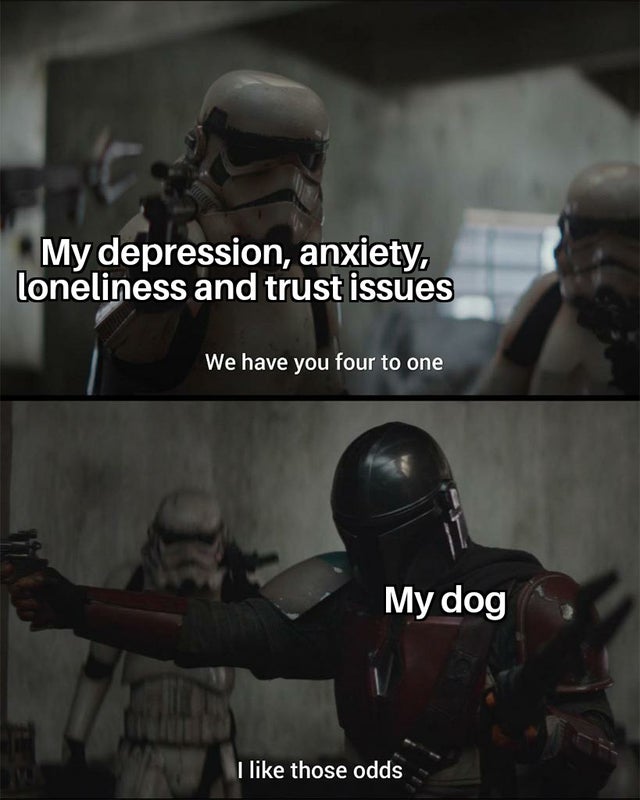 Internet meme - My depression, anxiety, loneliness and trust issues We have you four to one My dog I those odds