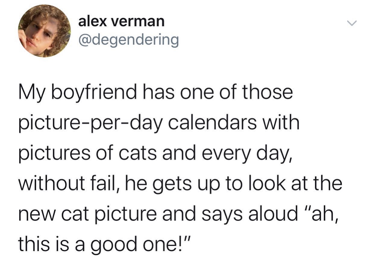 don t be a transphobe chad - alex verman My boyfriend has one of those pictureperday calendars with pictures of cats and every day, without fail, he gets up to look at the new cat picture and says aloud