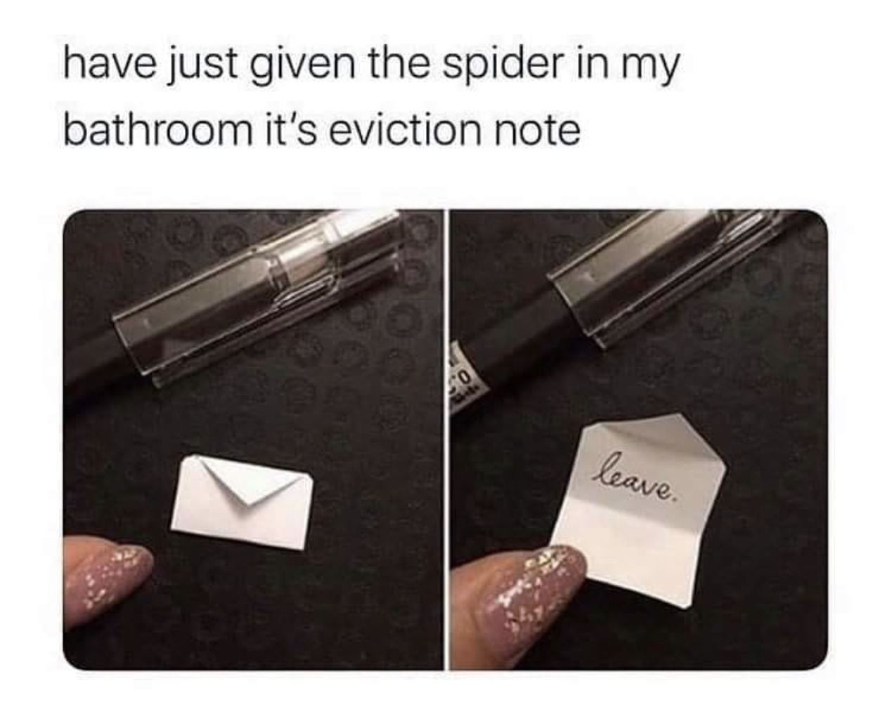 spider eviction meme - have just given the spider in my bathroom it's eviction note leave.