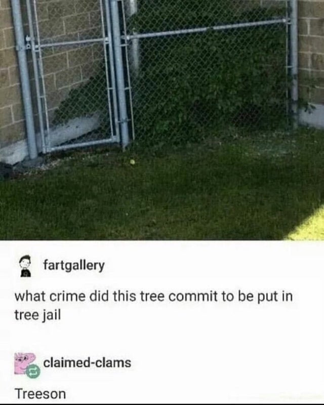 funny treeson - fartgallery what crime did this tree commit to be put in tree jail claimedclams Treeson