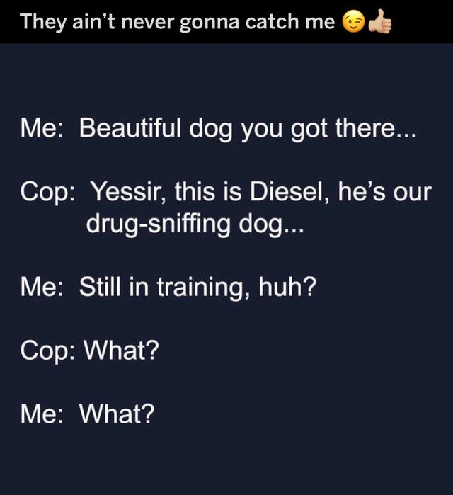screenshot - They ain't never gonna catch me Me Beautiful dog you got there... Cop Yessir, this is Diesel, he's our drugsniffing dog... Me Still in training, huh? Cop What? Me What?
