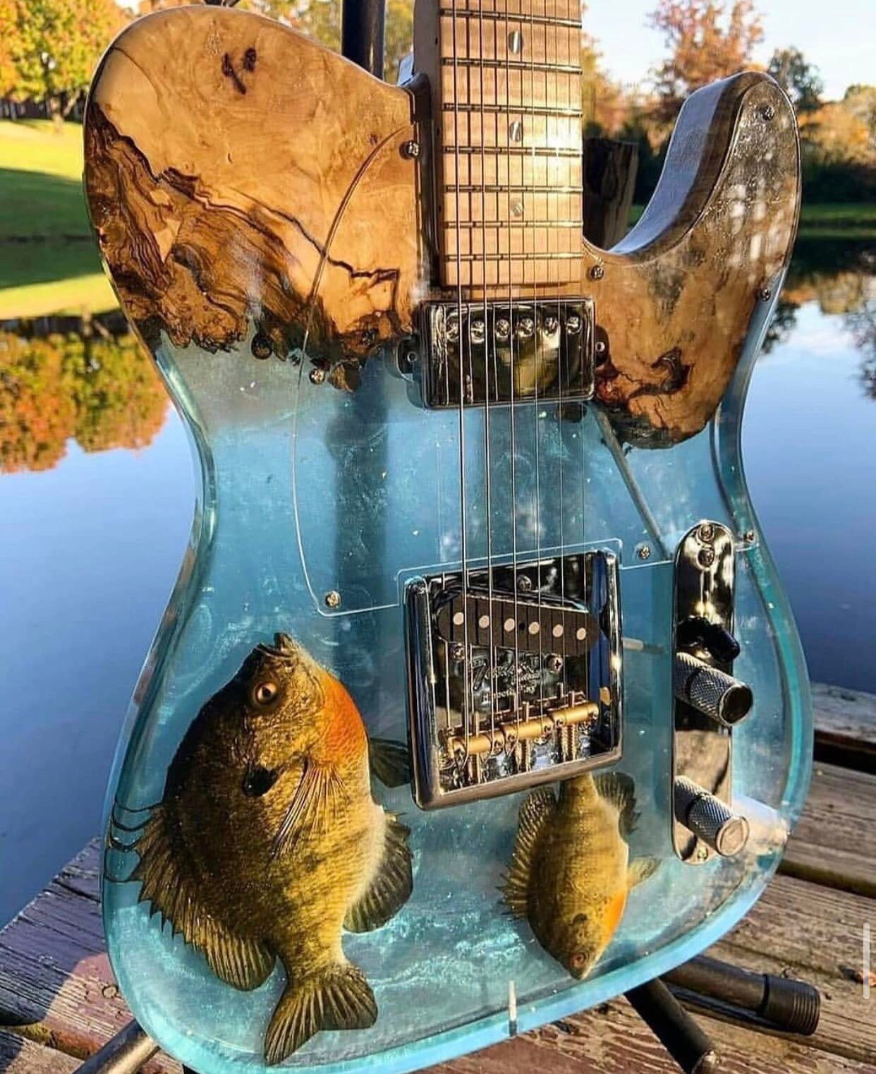 epoxy guitar with fish - Titie
