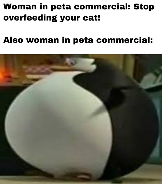 big skipper - Woman in peta commercial Stop overfeeding your cat! Also woman in peta commercial