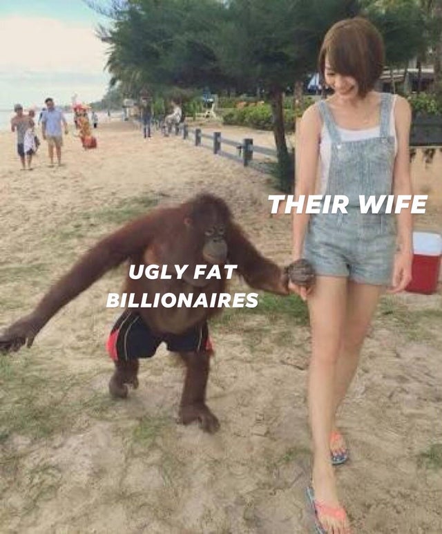 you ugly meme - Their Wife Ugly Fat Billionaires